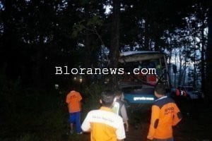 BUS GARUDA MAS NYASAR DI TENGAH HUTAN KALIMODANG