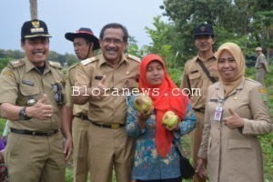 PEMKAB BLORA GALAKKAN GERAKAN TANAM BUAH