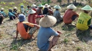 DIDERA TERIK MATAHARI, WARGA DRINGO TODANAN SEMANGAT KERJA BAKTI