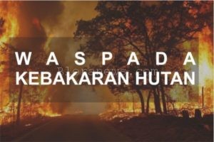 KEBAKARAN HUTAN RAWAN TERJADI DI MUSIM KEMARAU, WARGA DIMINTA WASPADA