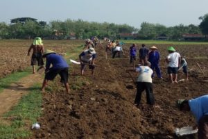 SWADAYA, WARGA TREMBULREJO KERJA BAKTI PERLEBAR JALAN TEMBUS