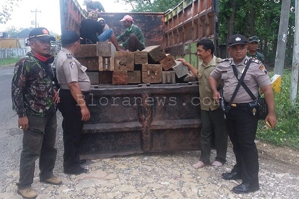 DIDUGA HASIL CURIAN, KAYU JATI TANPA DOKUMEN DIAMANKAN APARAT