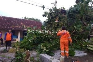 ANGIN KENCANG, POHON TUMBANG DAN RUMAH WARGA RUSAK