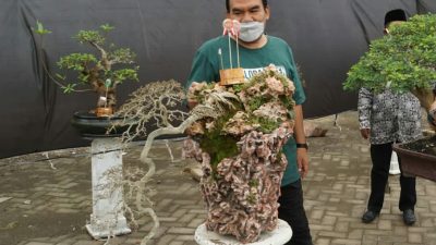 FESTIVAL BONSAI BERNILAI SENI DAN UNIK BIKIN MATA MANJA