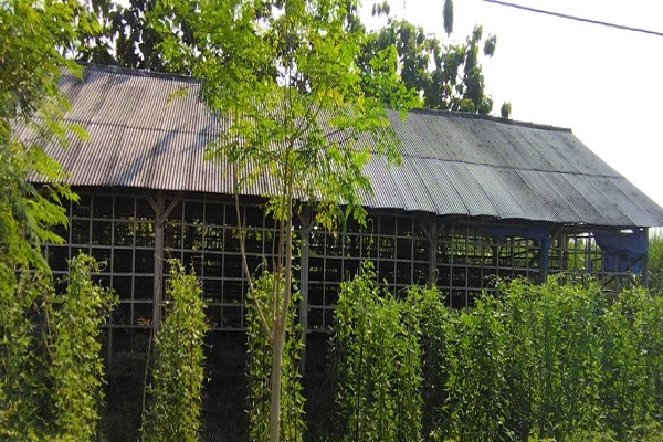 Kandang ayam di Desa Brabowan, Kecamatan Sambong, Kabupaten Blora diresmikan tahun 2019 mangkrak. Karena dianggap pendampingan yang tidak maksimal. 