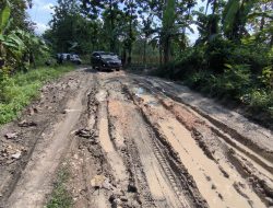 PEMBANGUNAN JALAN TENGAH HUTAN BUTUH SINERGI LINTAS KEMENTERIAN