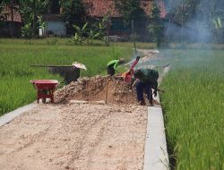 PEMBANGUNAN JUT BERMANFAAT BAGI PETANI DESA GERSI