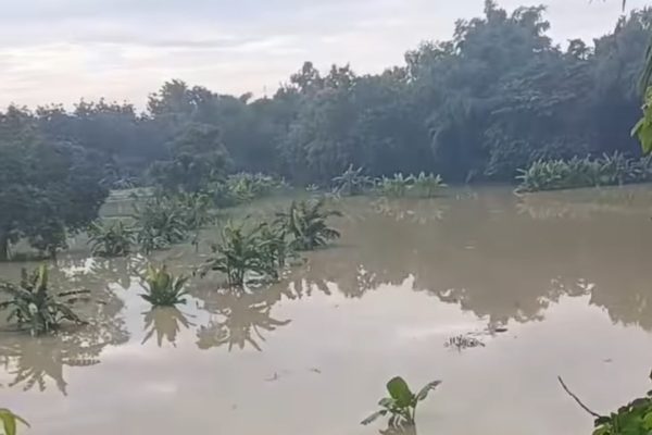 WARGA BERGOLO NGAWEN TERJEBAK BANJIR SETINGGI 1,5 METER