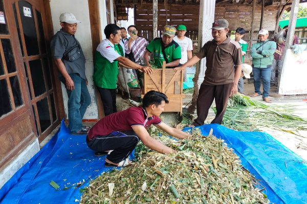 BELAJAR PUPUK ORGANIK DAN FERMENTASI PAKAN TERNAK BERSAMA SAHABAT ANSOR TODANAN