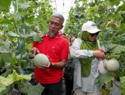 SEKDA JATENG AJAK PEMUDA MAJUKAN PERTANIAN MODERN